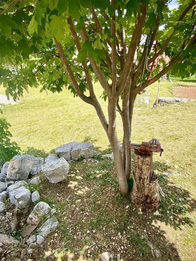 Guest House Markovic Lovcen Cetinje Luaran gambar
