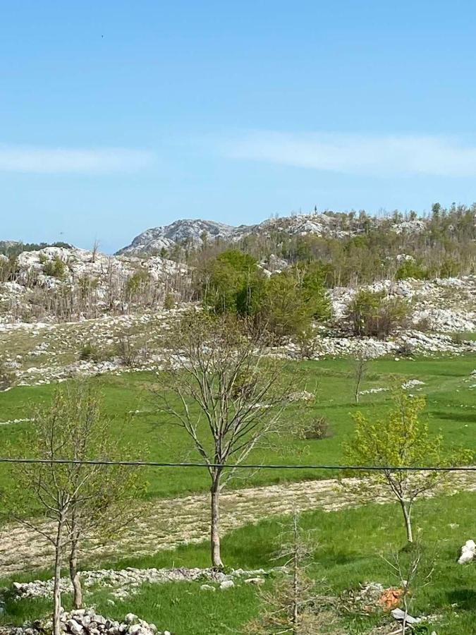 Guest House Markovic Lovcen Cetinje Luaran gambar